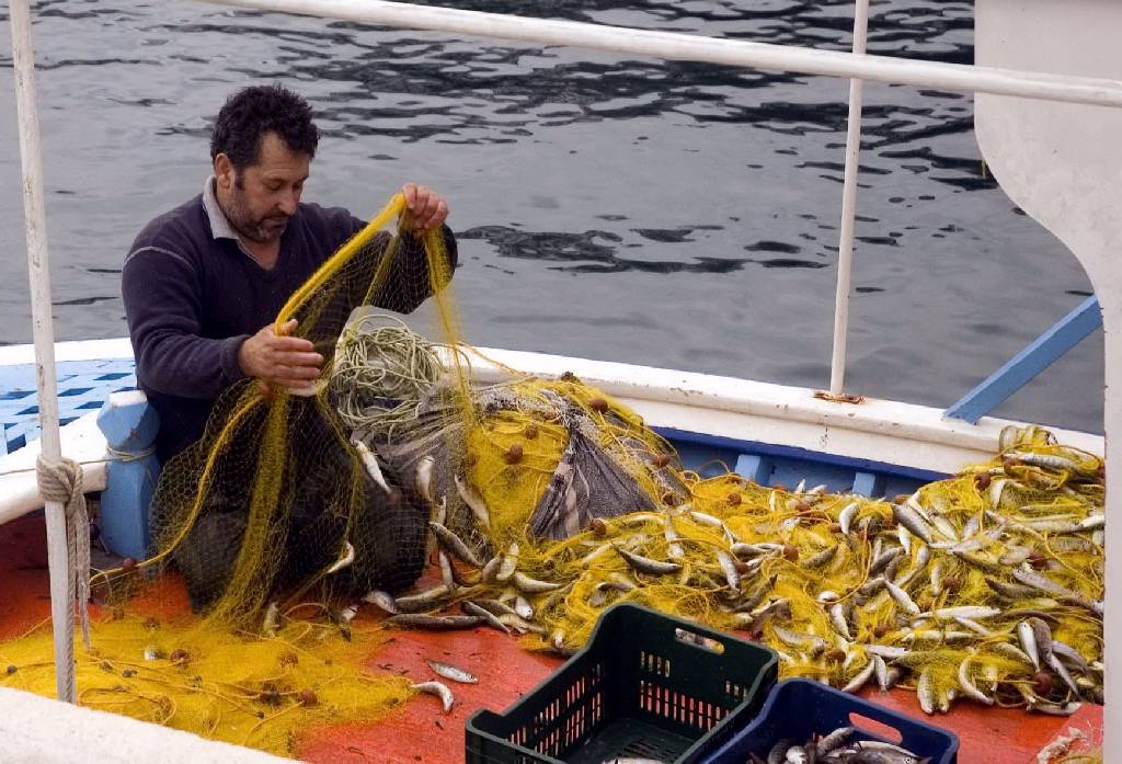 Σημαντική αύξηση κονδυλίων για αλιεία – υδατοκαλλιέργειες