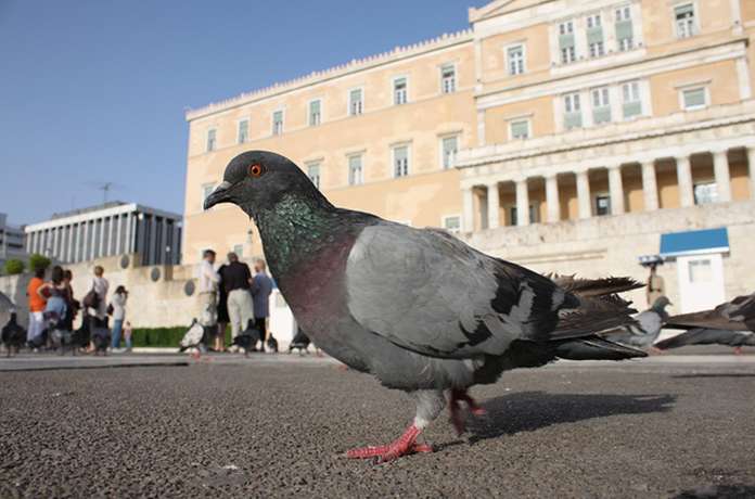 Aύξησαν τον Μισθό τους οι Έλληνες Βουλευτές;