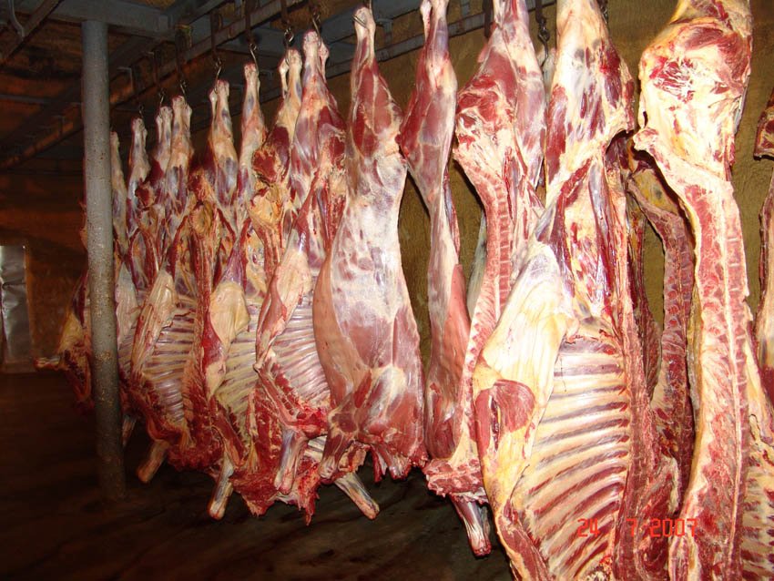 5 τόνοι αρνίσιο κρέας σε πολίτες που έχουν ανάγκη από τη Συνεταιριστική Τράπεζα Χανίων