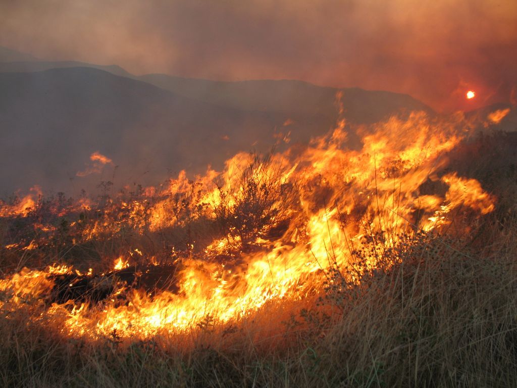 25.300 στρέμματα γης κάηκαν από τις πυρκαγιές το καλοκαίρι στην Κρήτη