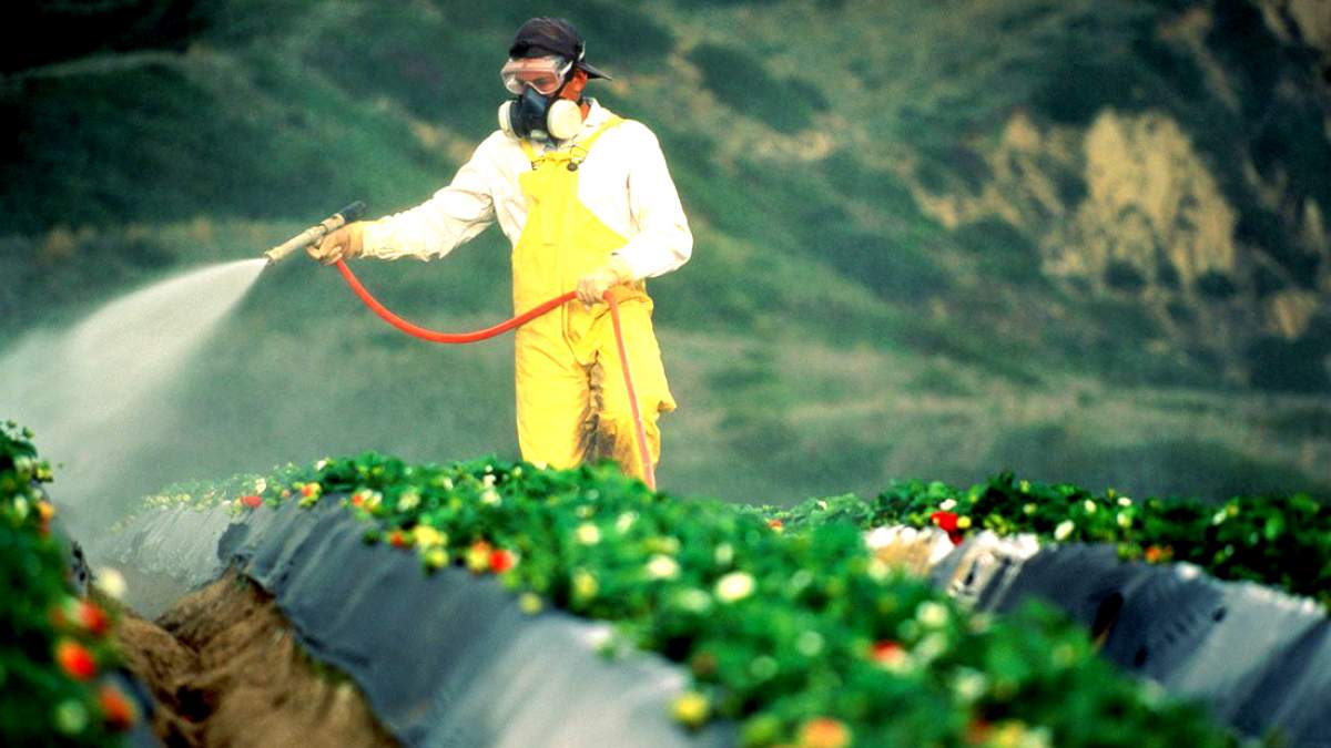 Τα κρυφά email της Monsanto: Τι συγκαλύπτει ο κολοσσός για την καρκινογόνα δράση του glyphosate;