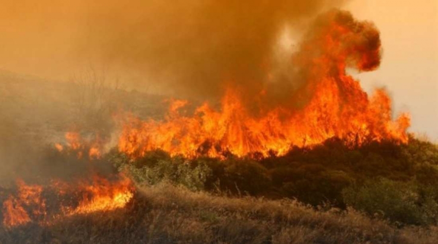 ΕΠΙΚΑΙΡΑ ΘΕΜΑΤΑ: Η έγκαιρη αντιμετώπιση των πυρκαγιών εν όψει του καλοκαιριού