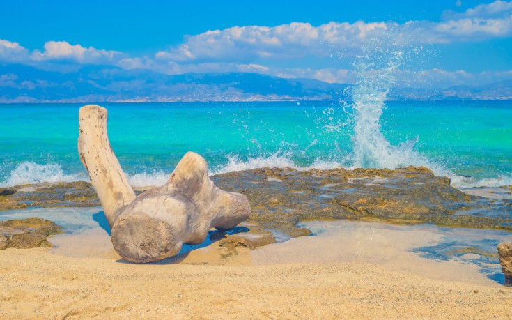 Κέδροι και χρυσαφένιες αμμουδιές, μια ομορφιά σα ζωγραφιά, στο Κρητικό πέλαγος | Φωτός