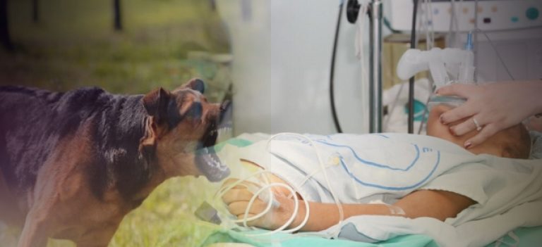 Χανιά: Εκτός κινδύνου το 4χρονο αγοράκι που δέχτηκε την επίθεση σκύλου