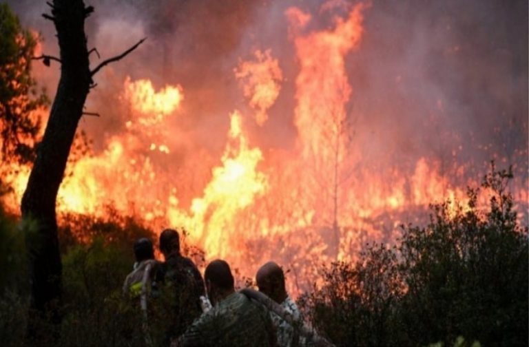 Μεσσηνία: Κοινοτάρχης και πυροσβέστης κατηγορούμενοι για εμπρησμούς με «άρωμα» εκβιασμών
