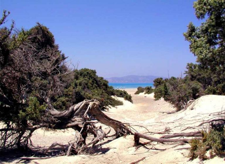 Κάτω στην έρμη ακρογιαλιά