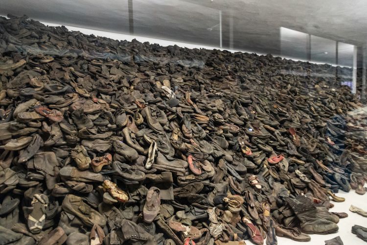 Auschwitz Pile Of Shoes Credit Shutterstock and Romanova Eliza