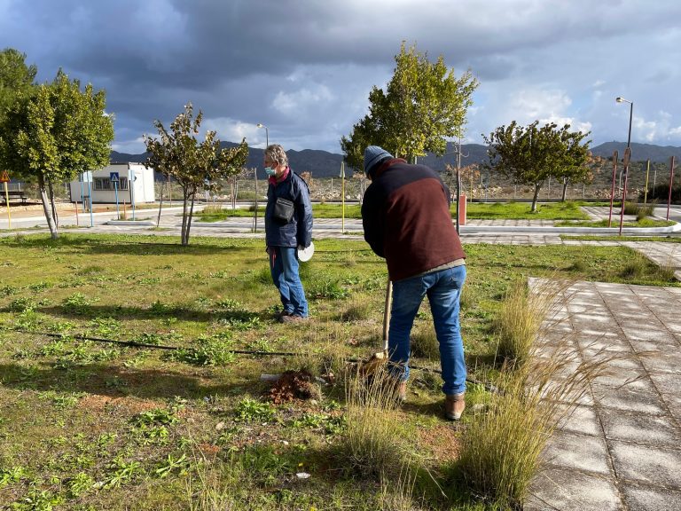 «Όλοι Μαζί Μπορούμε»: Ο Δήμος Χανίων συμμετέχει στην πανελλήνια δράση δενδροφύτευσης στον Καλαθά