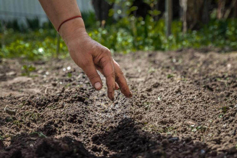 Χανιά: Πατέρας και γιος επιτέθηκαν σε εργάτη