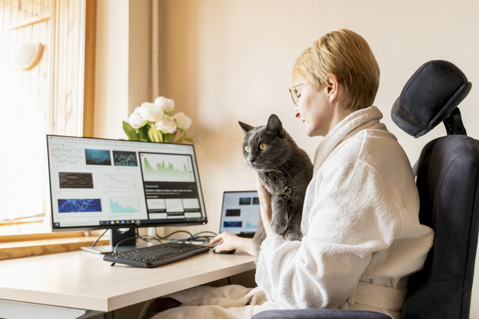 Cat sitting with his master at working place with IT equipment at home. He is disturbing woman while her work on computer. Quarantine isolation.
