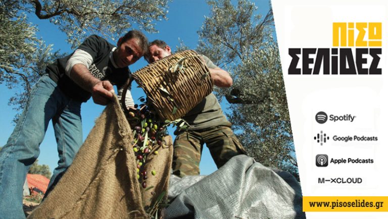 Έκκληση Περιφέρειας Κρήτης στους ελαιοπαραγωγούς για τον δάκο – Ενημέρωση για το Πρόγραμμα Δακοκτονίας 2026