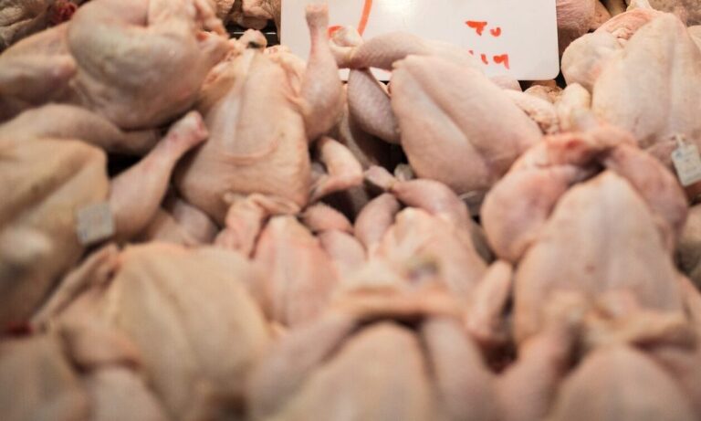 Κοτόπουλα με σαλμονέλα….από τη Mercosur με αγάπη