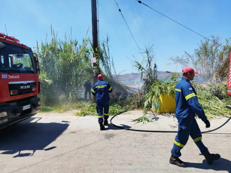 Έσβησαν πυρκαγιά κοντά σε ξενοδοχείο στην Αγιά Μαρίνα | Φωτός+Βίντεο