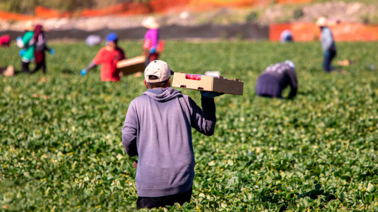 ΚΚΕ: Άμεσα λύση για τα χιλιάδες αγροτεμάχια εντός του Δήμου Σητείας που εμφανίζονται ιδιοκτησία της Αποκεντρωμένης Διοίκησης Πελοποννήσου, Δυτικής Ελλάδας και Ιονίου