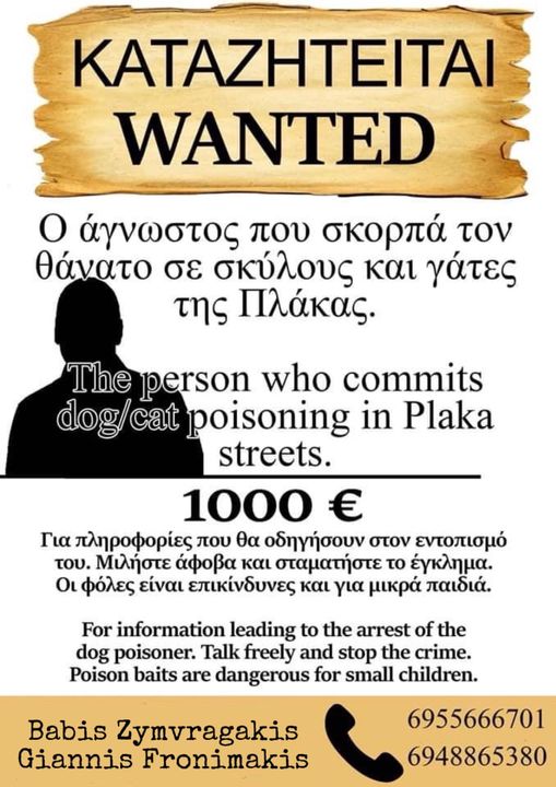 417433242_10232272097889119_8502369863767294898_n