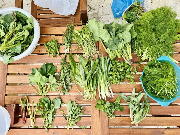 Πάμε για… χόρτα;  Τρίτη χρονιά δράσεων της Περιφέρειας Κρήτης Π.Ε. Χανίων για τη διάδοση  της τέχνης της συλλογής και αξιοποίησης των άγριων χόρτων