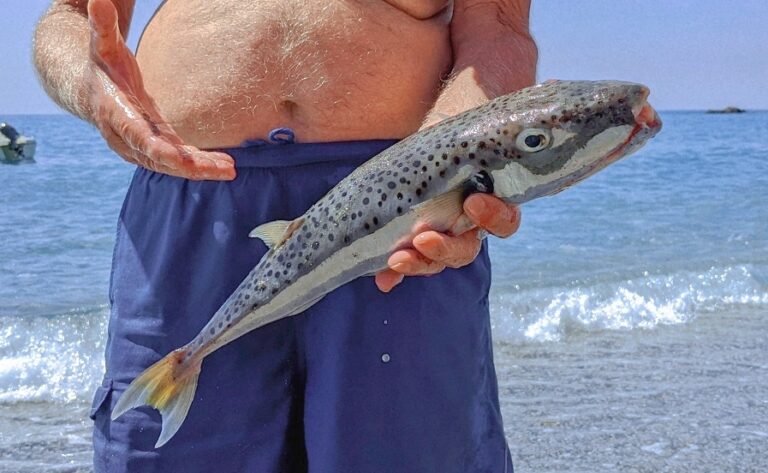 Κρήτη: Ώρα υπογραφών για το λαγόψαρο – Στην Αθήνα οι αλιείς για την αποζημίωση