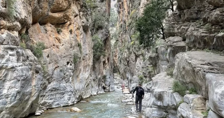 «Συναγερμός» για τα Εθνικά Πάρκα: Κίνδυνος αποδόμησης του ΟΦΥΠΕΚΑ και απώλεια έμπειρου προσωπικού στις περιοχές Natura