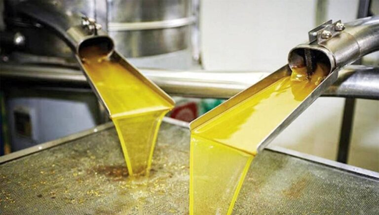 Χανιά: Ούτε στην Κατοχή… Δικαστικός επιμελητής κατέσχεσε λάδι που μόλις είχε βγει στο ελαιοτριβείο!