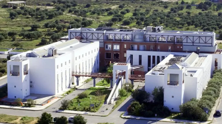 “Ένα λουλούδι της πόλης μαραίνεται”: Οι φοιτητές του Πολυτεχνείου Κρήτης προειδοποιούν για την υποβάθμιση του Ιδρύματος