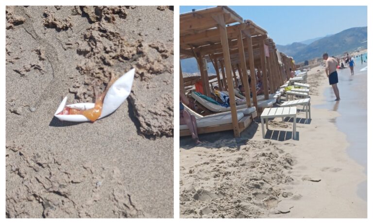 Καταγγελία για Φαλάσαρνα: Μουσική στη διαπασών, ξαπλώστρες στο νερό και νεκρά χελωνάκια στην παραλία