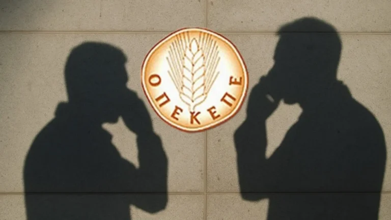 Σάλος στο ΠΑΣΟΚ με στέλεχος από Κρήτη που εμπλέκεται σε δηλώσεις εκτάσεων στην Κάρλα – Τον καλύπτει η Χαριλάου, κάθαρση ζητά ο Δούκας