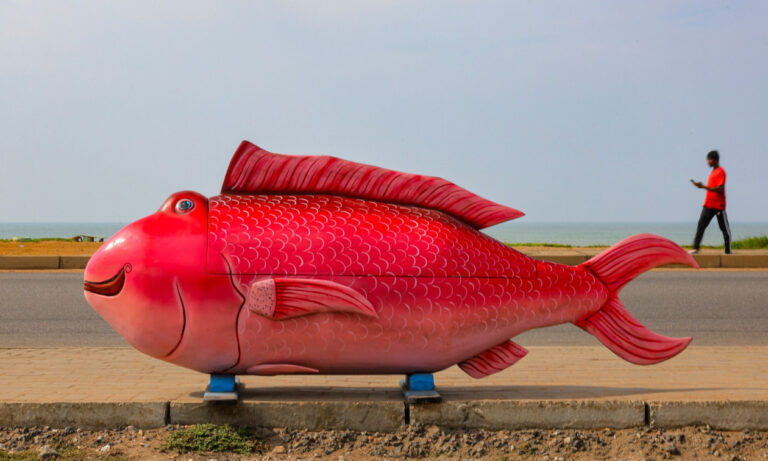 Τα φαντασμαγορικά φέρετρα της Γκάνας σε σχήμα λιονταριού, ψαριού ή παγωνιού – Τι συμβολίζουν