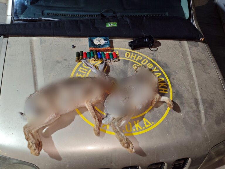 Παράνομη νυχτερινή θήρα στα Κεραμειά Χανίων: Ποιος προστατεύει την άγρια ζωή όταν νυχτώνει;