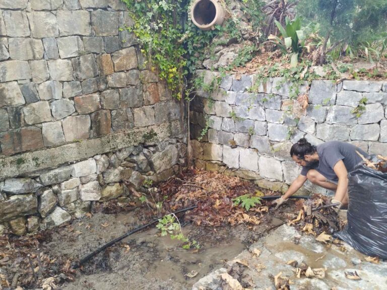 Αρμένοι Χανίων: Πολίτες καθαρίζουν τις πηγές του «Πλάτανου» — Αγωνία για την εγκατάλειψη του φυσικού πλούτου