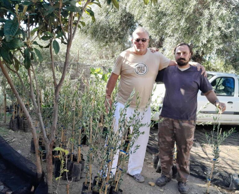 Δωρεά 100 ελαιόδεντρων από Γερμανό ιδιώτη για τους πυρόπληκτους της Καντάνου