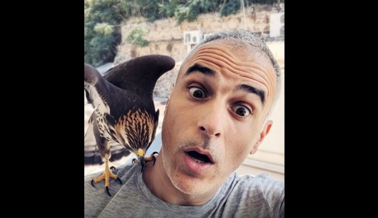 Sora 2 και η τεχνητή παραπλάνηση: Η νέα εποχή των «ψευδαισθήσεων» με ρεαλιστικά βίντεο AI