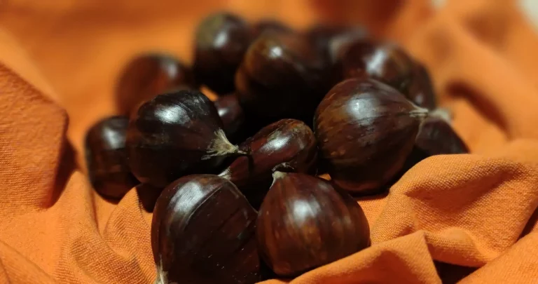 Σπιτικές προτάσεις