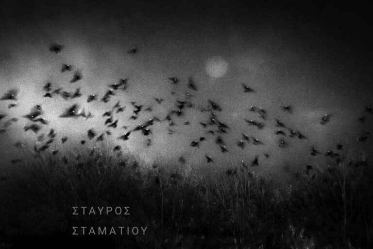 Σταύρος Σταματίου: Ο φωτογράφος που «καθρεφτίζει» τον δρόμο έρχεται στα Χανιά – Μια βραδιά αφιερωμένη στην εικόνα