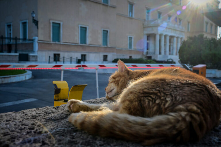 Η Ελλάδα μας έρμαια των ξένων Funds (κεφαλαίων)…