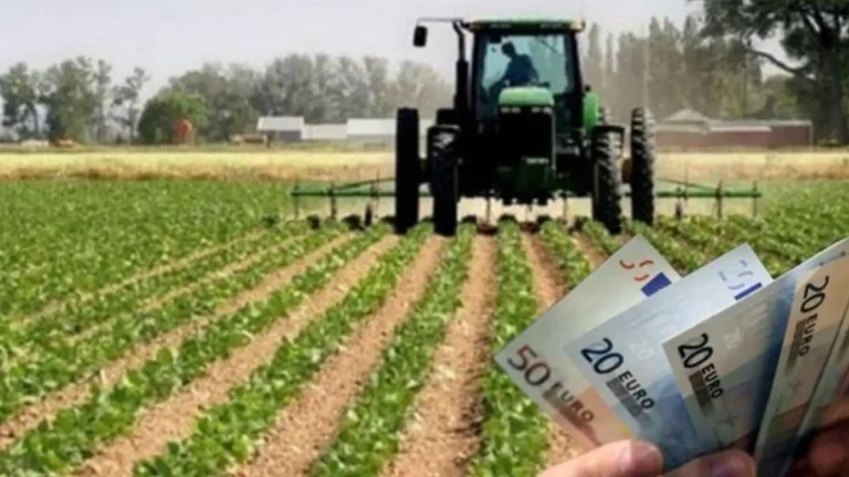 Κίνδυνος για τις επιδοτήσεις: Τι συμβαίνει με τη ροή των ευρωπαϊκών πόρων;