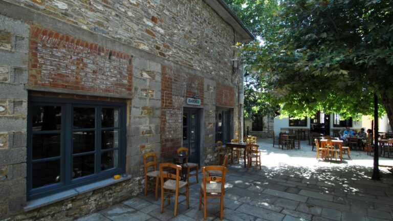 Η κυβέρνηση Μητσοτάκη «σκοτώνει» τα καφενεία και τα παντοπωλεία στα μικρά χωριά: Σάλος με το νέο ΦΕΚ για σεμινάρια υγιεινής και υποχρεωτικό POS