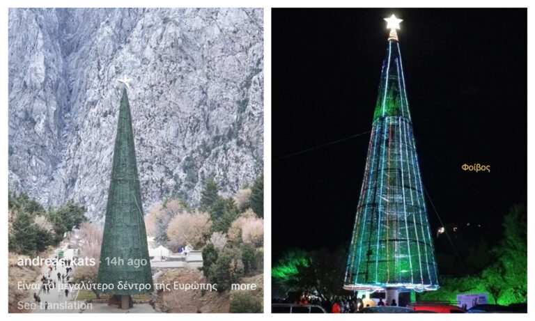 Χανιά: Φωταγωγήθηκε στον Ομαλό το ψηλότερο χριστουγεννιάτικο δέντρο της Ελλάδας – Μαγικές εικόνες στο Ξυλόσκαλο | Φωτός+Βίντεο