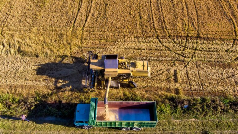 ΟΠΕΚΕΠΕ: Πώς έστησε την κομπίνα η εγκληματική οργάνωση – Ο Χιλετζάκης , ο Λαμπράκης και οι παράνομες επιδοτήσεις-μαμούθ
