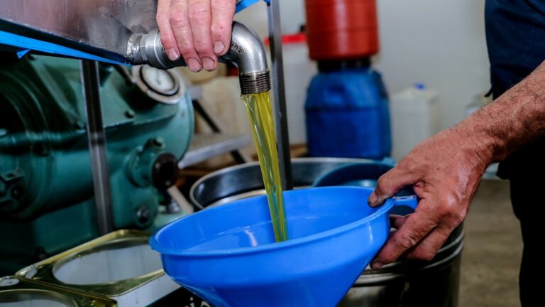 Από τα ρεκόρ στην απόγνωση οι ελαιοπαραγωγοί – Δυσοίωνες προβλέψεις σε όλη τη Μεσόγειο, νέες αυξήσεις στο ράφι