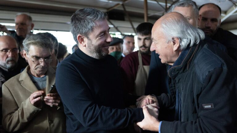 Αλλαγή πλεύσης από Ανδρουλάκη: Από την μοναχική πορεία στο προσκλητήριο σε όλες τις προοδευτικές δυνάμεις