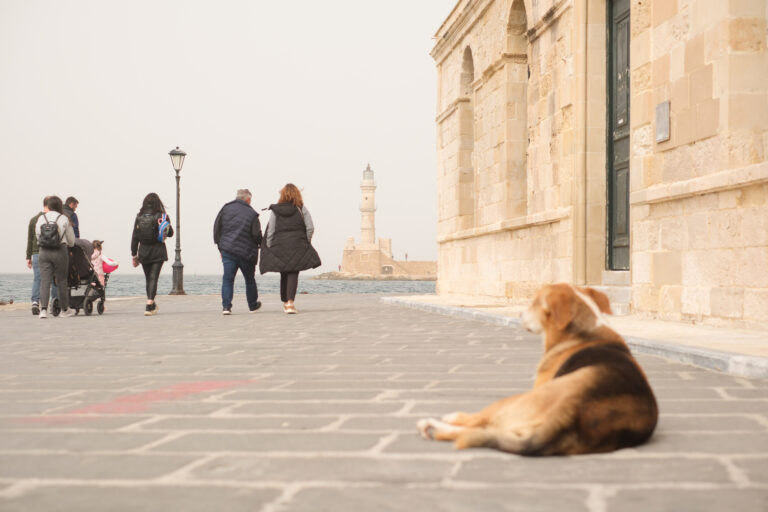 Κάθε ρεκόρ έσπασε η συγκέντρωση αφρικάνικης σκόνης στην Κρήτη – Φωτογραφίες από τα Χανιά