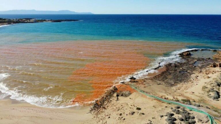 Πρωτοβουλία Οξυγόνο: H ακτή της Παχιάς Άμμου δεν έχει Οξυγόνο!