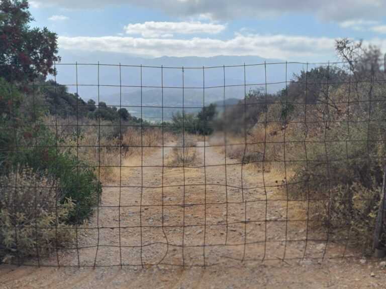 Ενεργοί Πολίτες Πλατανιά: Το «Χρυσό Βραβείο» σκοντάφτει σε συρματοπλέγματα;