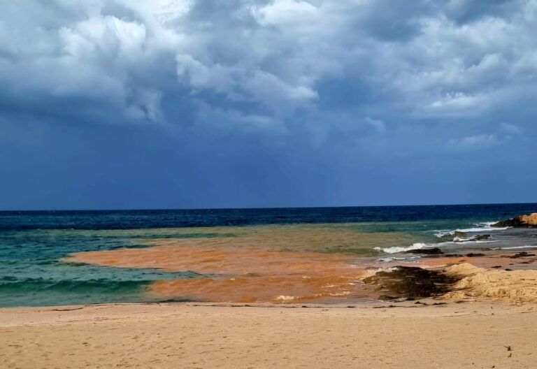 Ανοικτή επιστολή Συλλόγου Προστασίας Περιβάλλοντος Σταυρού: Καταγγέλλουν θεσμική ανοχή στην αυθαιρεσία για το αντλιοστάσιο Α44