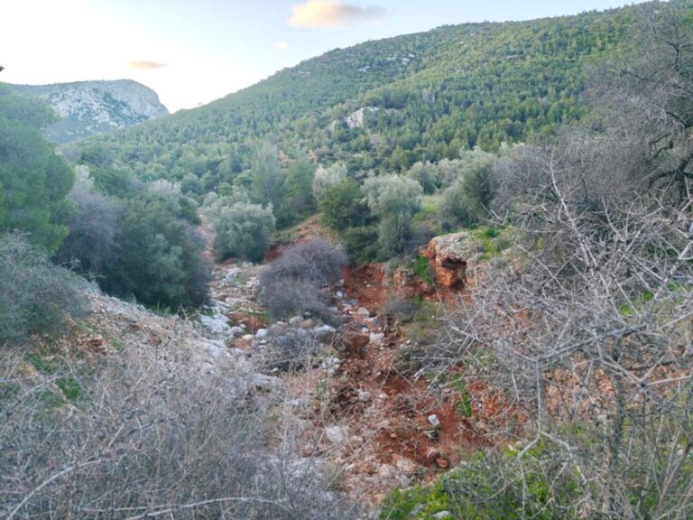Θρίλερ με τη δολοφονία του 27χρονου Κρητικού – Προσπάθησαν να τον κάψουν;
