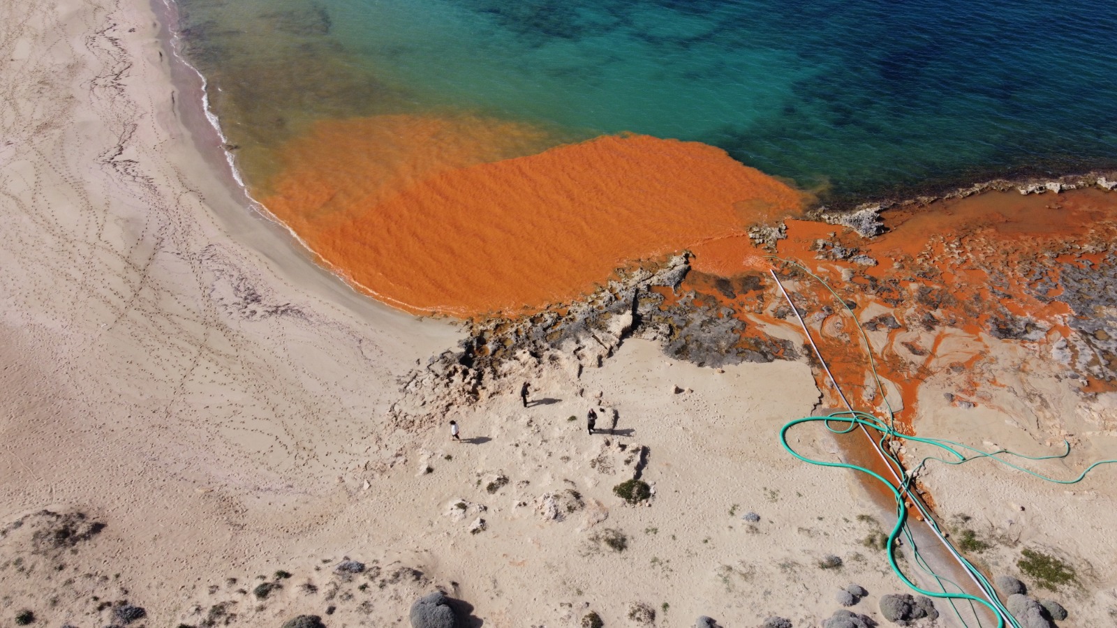 Παχιά Άμμος Σταυρός Ακρωτήρι Χανίων 4 Φεβρουαρίου 2026