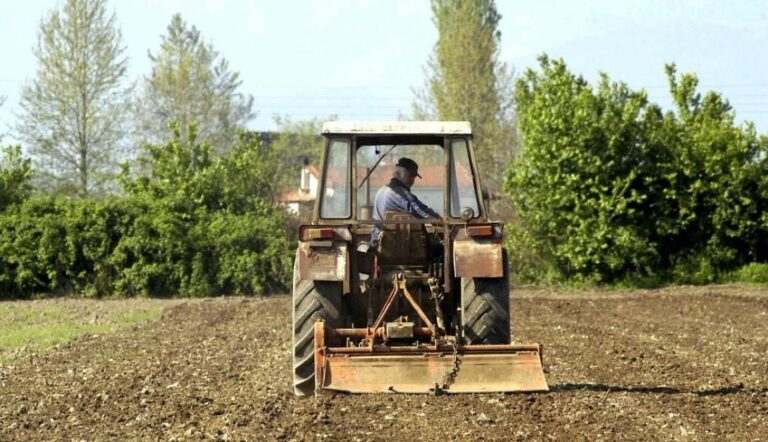 Κρήτη: “Τρομάζει” η εγκατάλειψη των καλλιεργήσιμων εκτάσεων – Ανησυχητικά στοιχεία