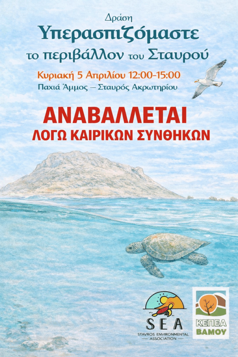 Αναβολή της περιβαλλοντικής δράσης στην Παχιά Άμμο λόγω κακοκαιρίας
