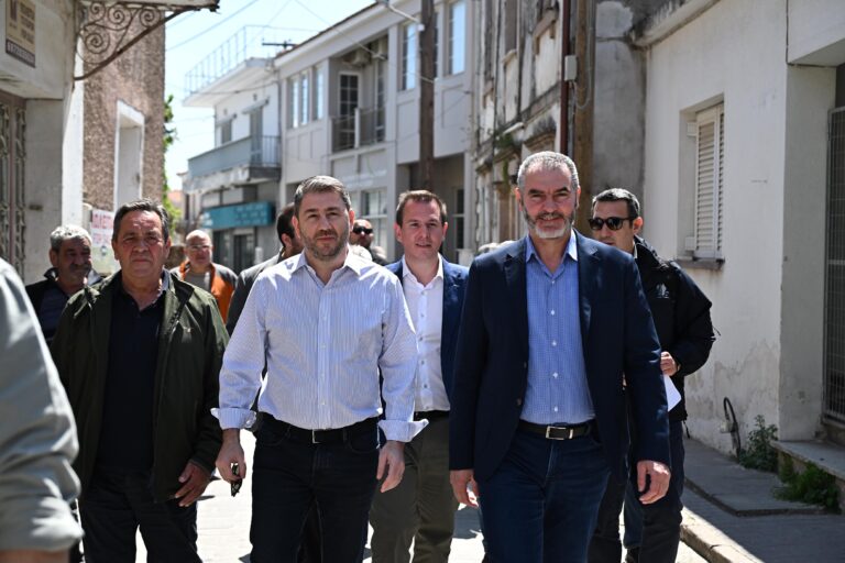 Επίσκεψη Ανδρουλάκη – Χνάρη στη Λέσβο για τον αφθώδη πυρετό: Πέντε άμεσες παρεμβάσεις για τους κτηνοτρόφους
