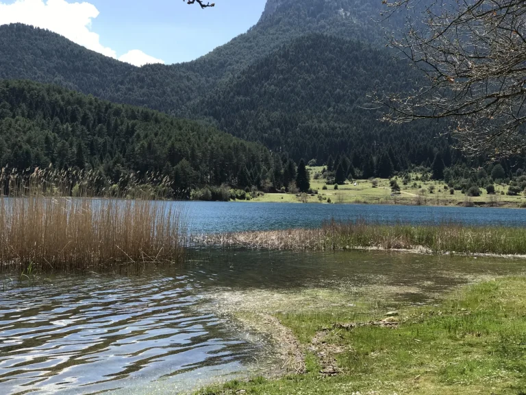 Τσιμεντώνουν περιοχές Natura – Στο στόχαστρο ο Παπασταύρου, αντιδράσεις από περιβαλλοντικές οργανώσεις